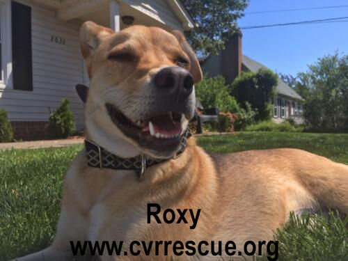 Roxy